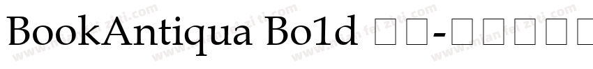BookAntiqua Bo1d 字体字体转换